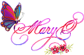 Maryocolorfulbutterflysmall