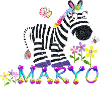 maryo colorful zebra