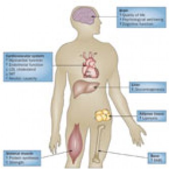 Growth-Hormone-Deficiency